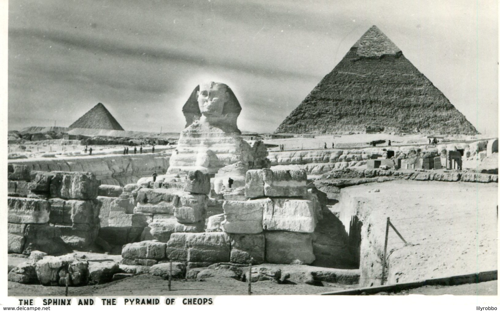 EGYPT - RPPC - The Sphinx And The Pyramid Of Cheops - Pyramids