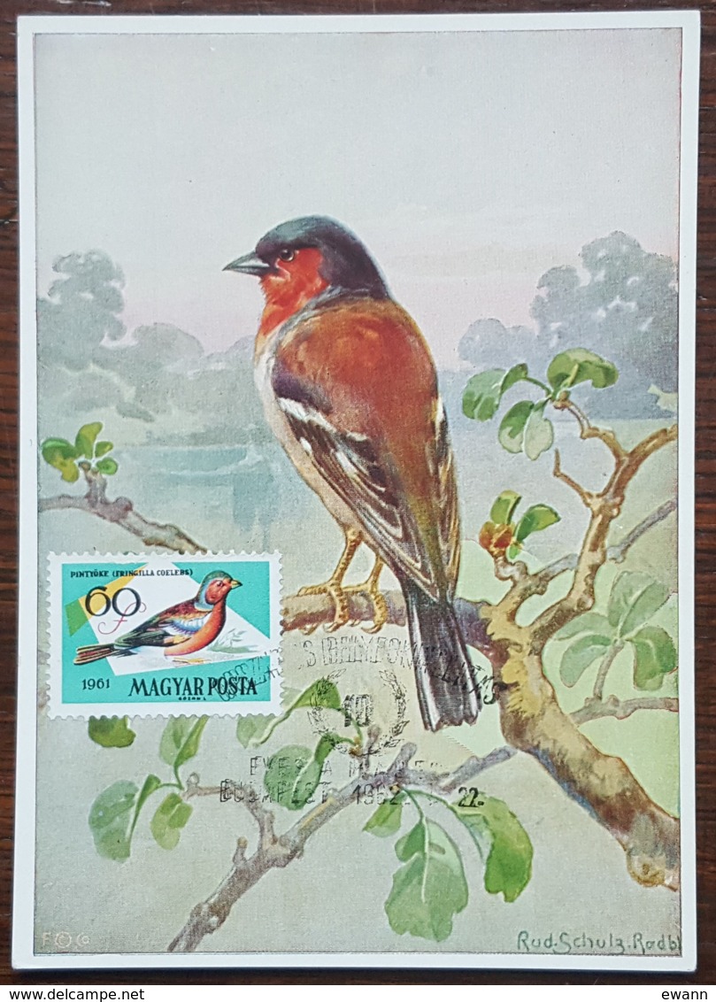 Hongrie - Carte Maximum / CM 1952 - Faune / Oiseaux / Pinson - Tarjetas – Máximo