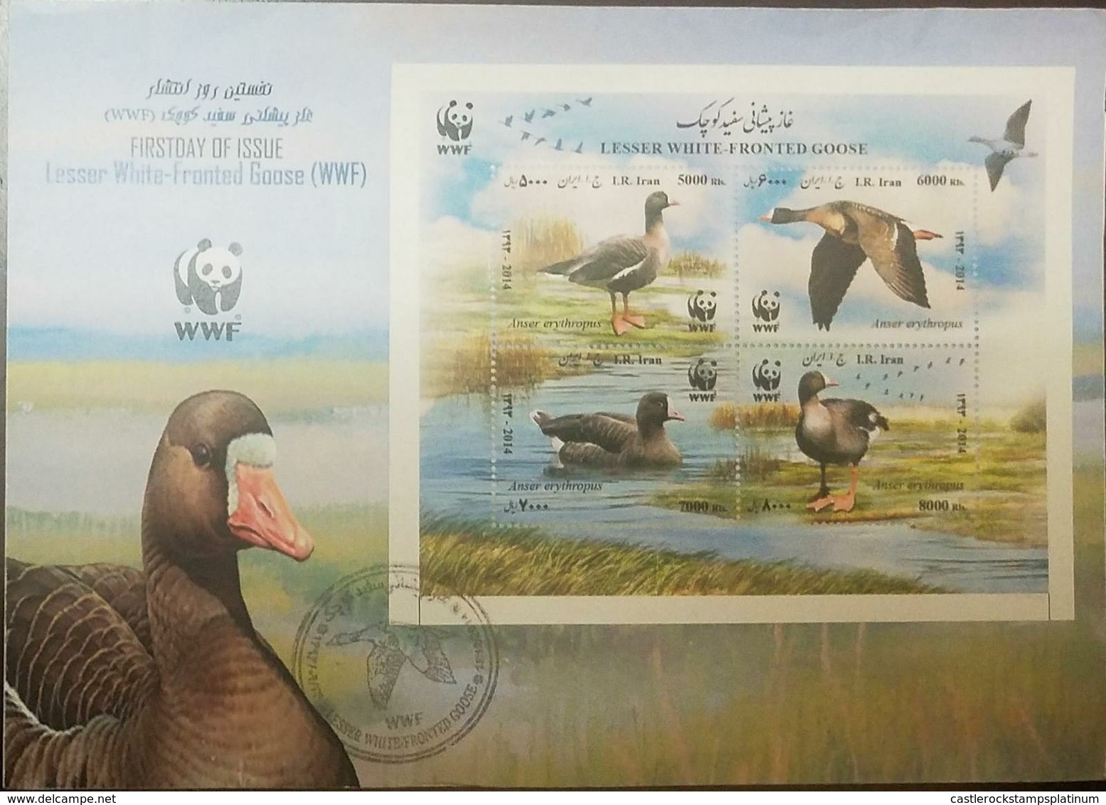 L) 2015 IRAN, WWF, DUCK, BIRDS, NATURE,  LESSER WHITE  FRONTED GOSSE, SOUVENIR SHEET, FDC - Iran