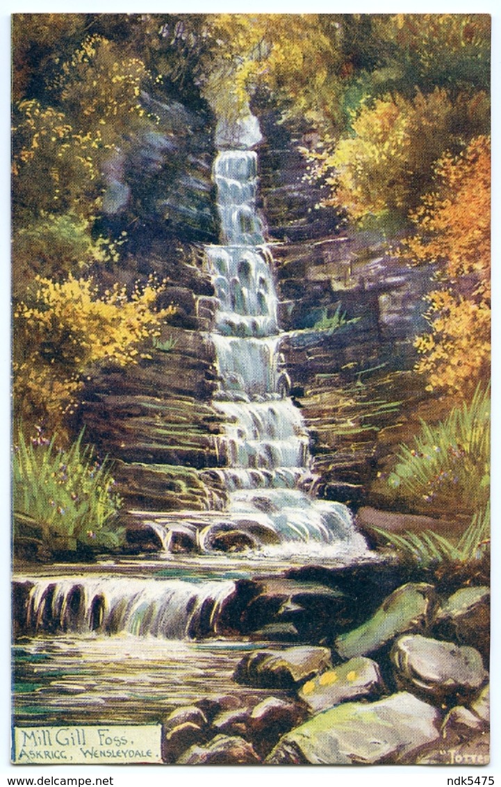 ARTIST : JOTTER - YORKSHIRE - MILL GILL FOSS, ASKRIGG, WENSLEYDALE - Other & Unclassified