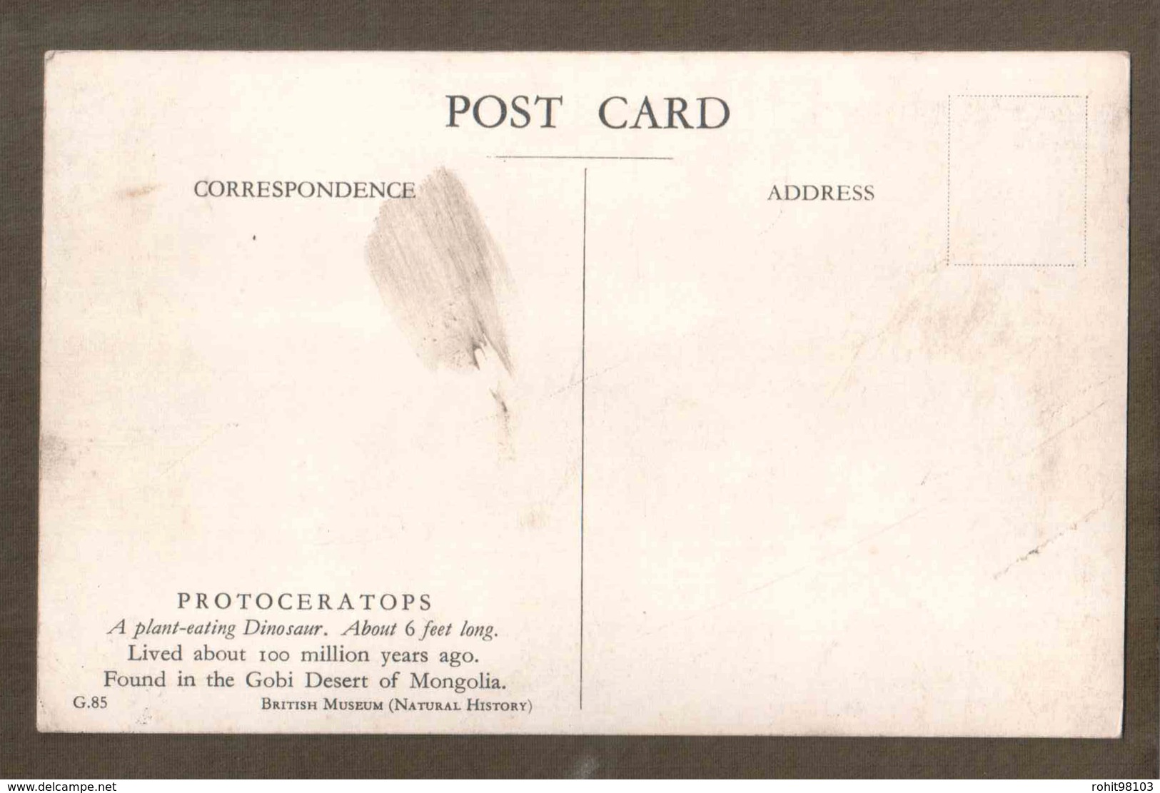 Postcard View Of Protoceratops, Plant Eating Dinosaurs Found In Gobi Desert Of Mongolia. Lot # SC 752 - Other & Unclassified