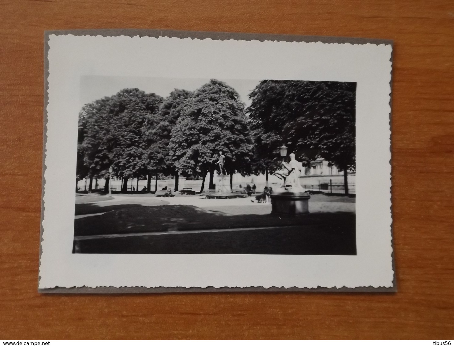 WW2 GUERRE 39 45 NIORT SOLDATS ALLEMANDS 1942 SUR UNE PLACE - Niort