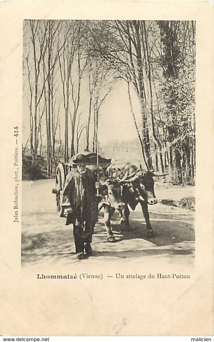 - Vienne -ref-A409- Lhommaizé - Un Attelage Du Haut Poitou - Attelage Boeufs - Attelages - Agriculture - Carte Bon Etat - Autres & Non Classés