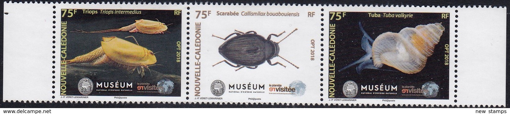 New Caledonia 2018 Fauna Nature Museum Invertebrates Strip Of 3v MNH - Altri & Non Classificati