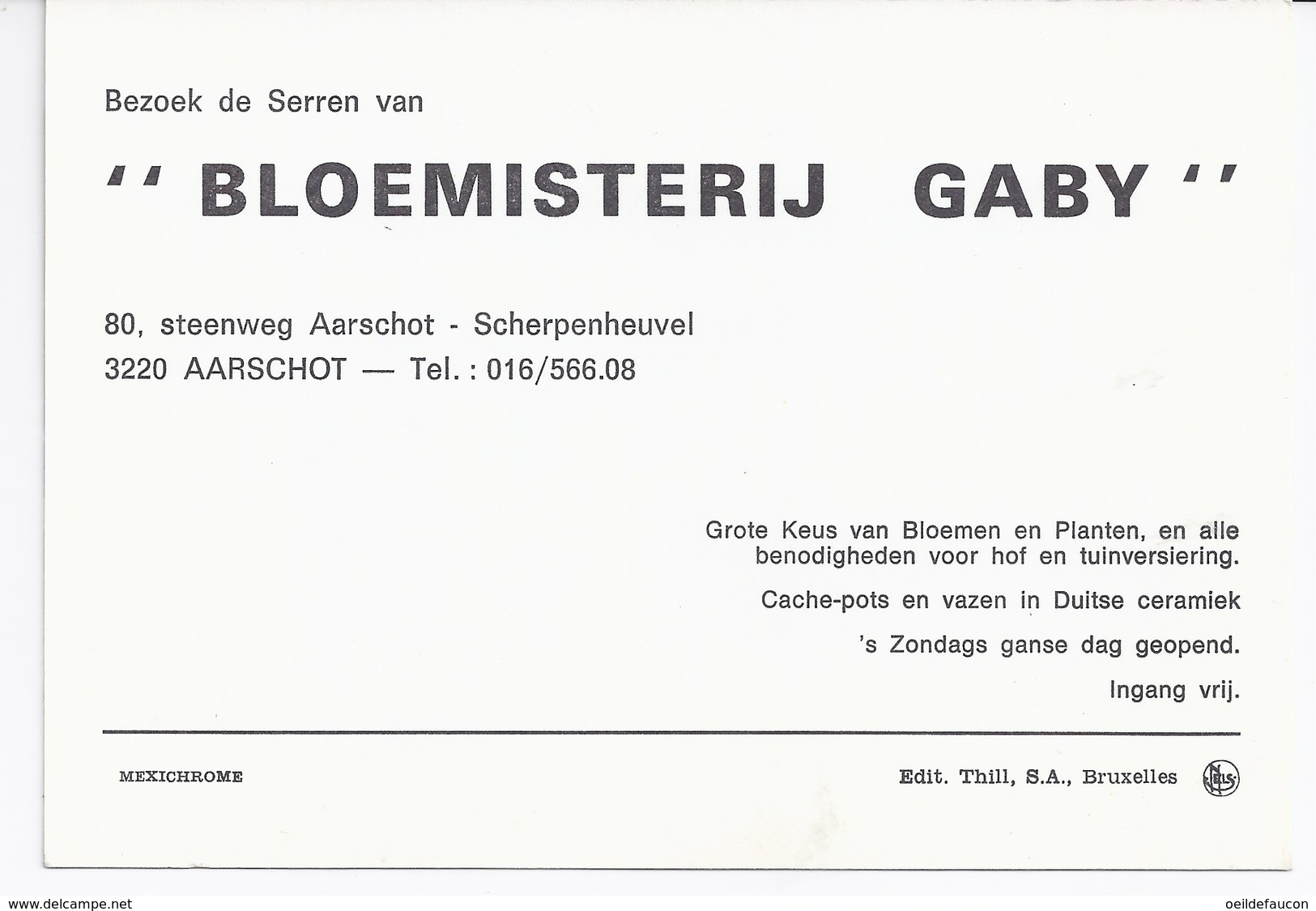 Bloemisteij Gaby - Multi-vues - Aarschot