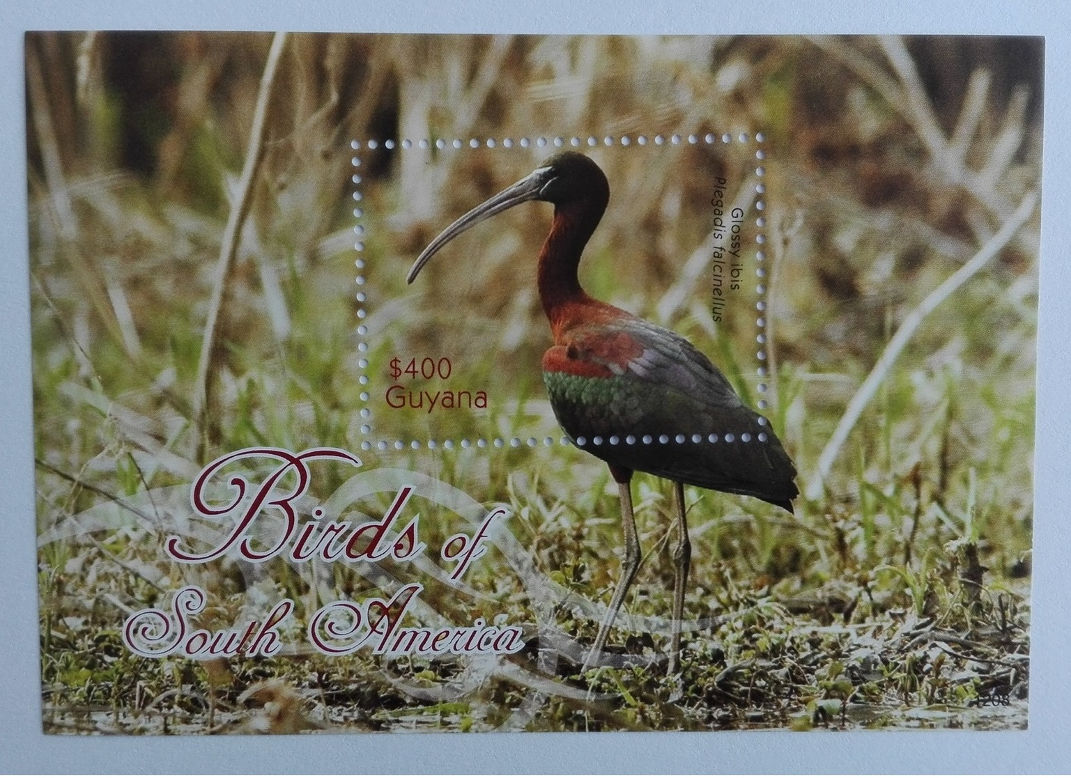 Guyana 2012** Bl.846. Birds Of South America MNH [12;95] - Other & Unclassified