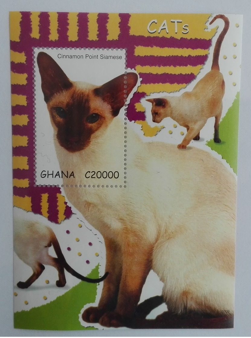 Ghana 2007** Mi.Bl.483. Cats, MNH [12;97] - Chats Domestiques
