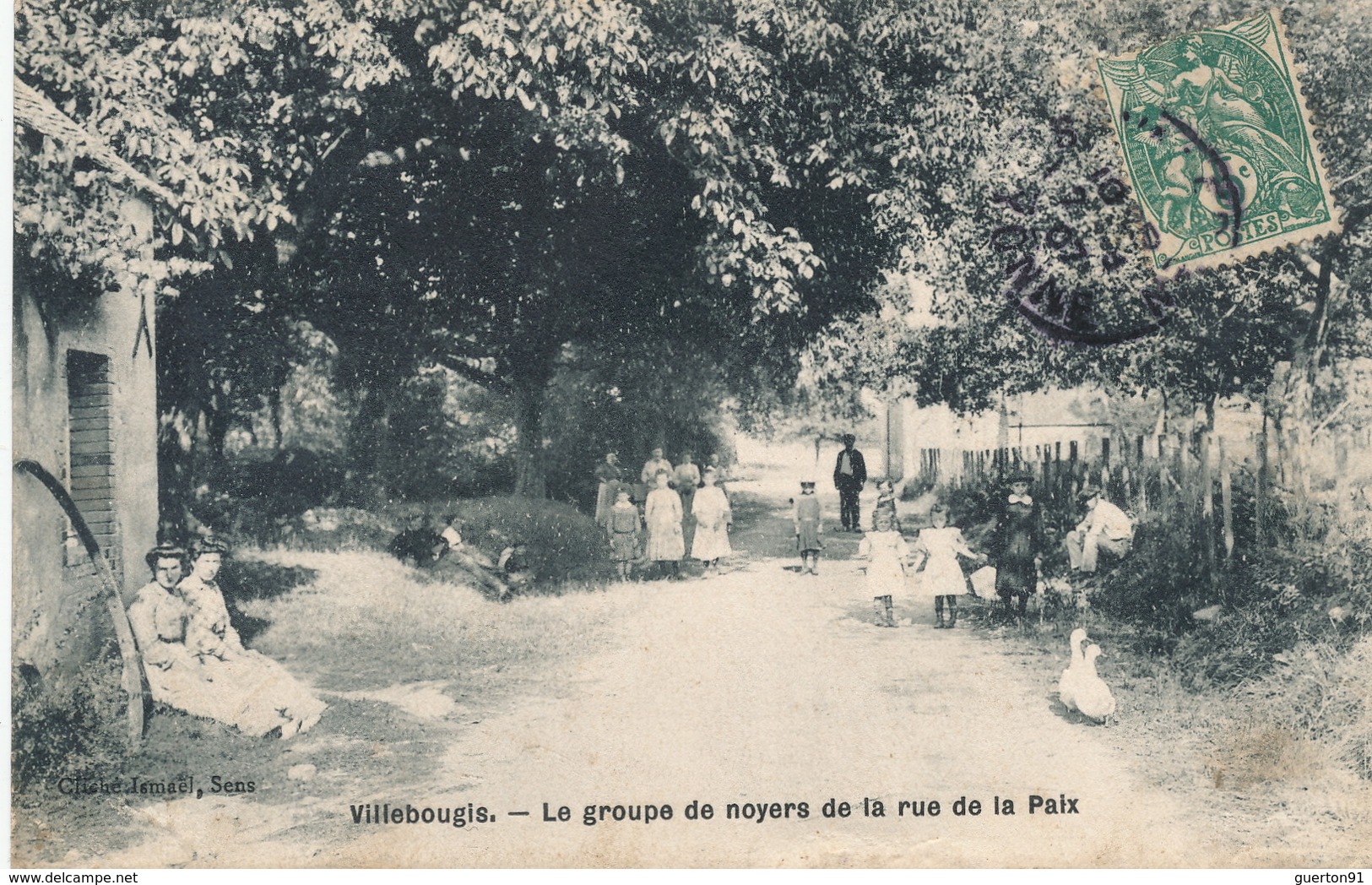 (CPA 89) VILLEBOUGIS  /  Le Groupe De Noyers De La Rue De La Paix - - Villebougis