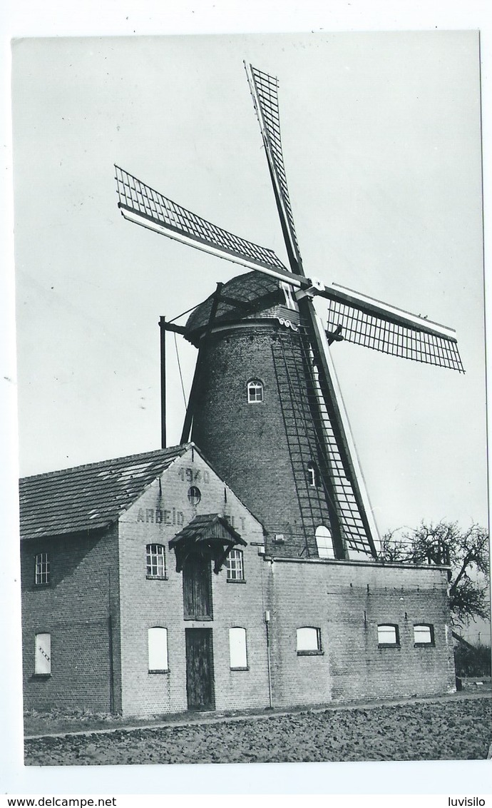 Weelde Windmolens " Arbeid Adelt " 1940 - Ravels