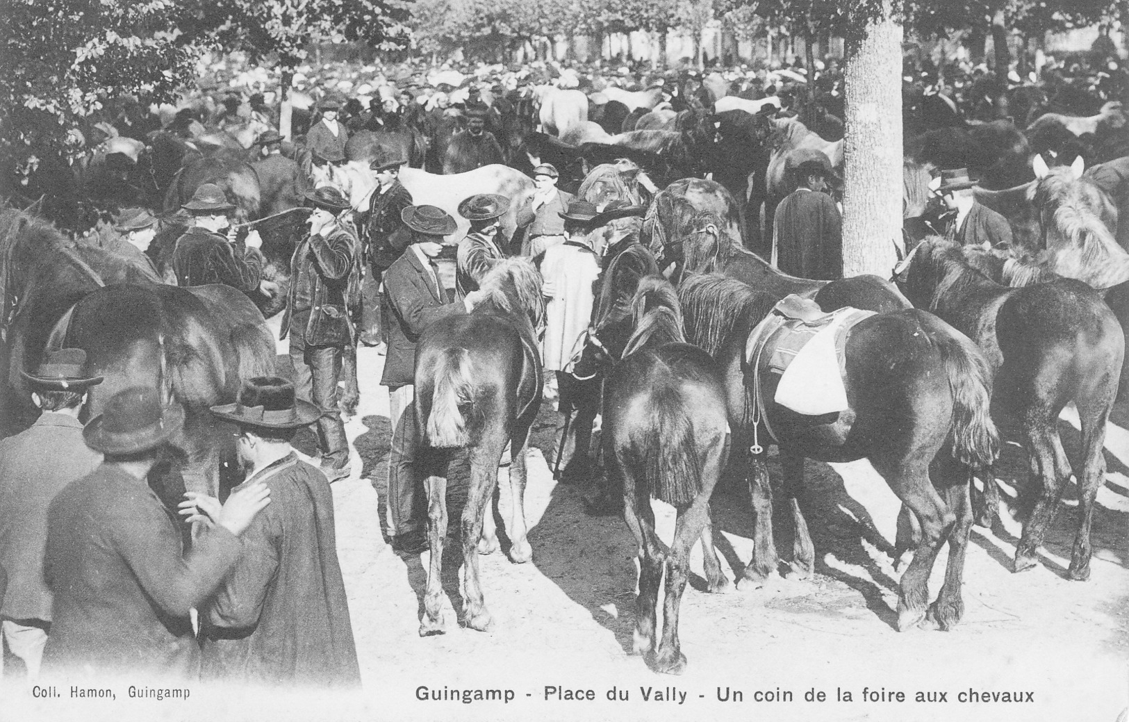 Guingamp Place Du Vally Le Marche Aux Chevaux - Guingamp