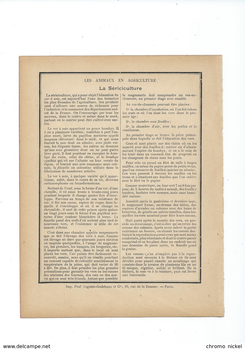 SÉRICULTURE Les Animaux En Agriculture Couverture 220 X 175 TB 3 Scans - Schutzumschläge