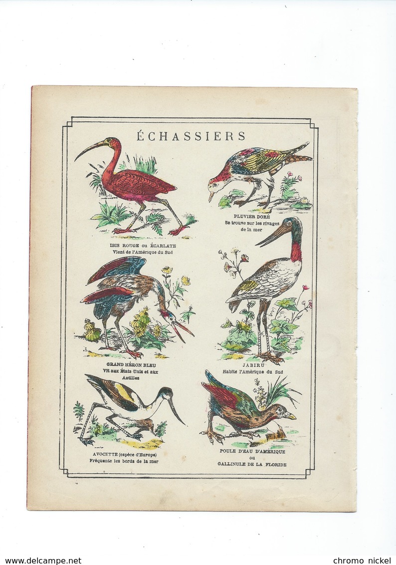 Les Echassiers Histoire Naturelle Couverture De Cahier 220 X 175 TB 3 Scans - Book Covers