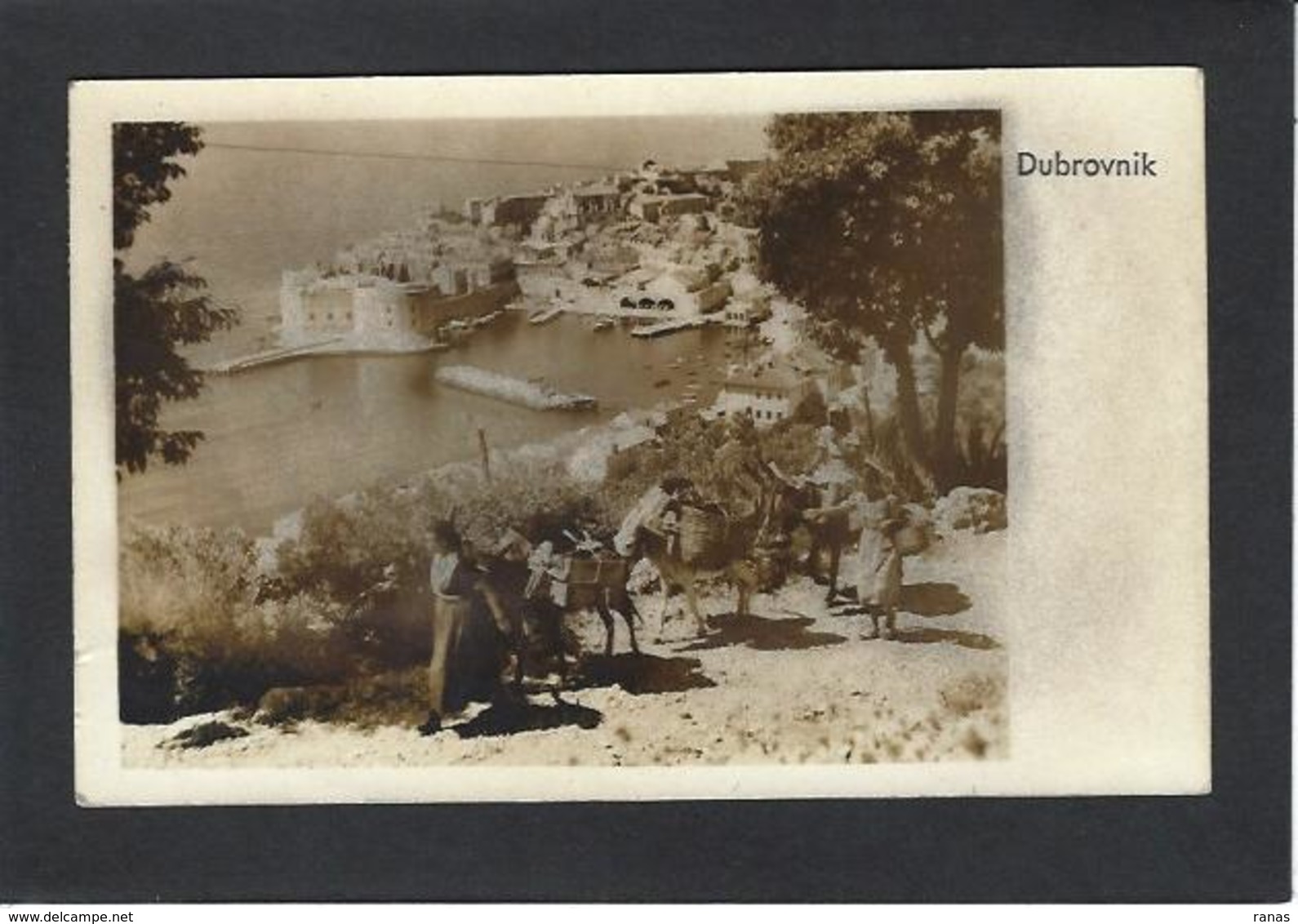 CPA Croatie Croatia Circulé Carte Photo RPPC Ane Dubrovnik - Kroatien