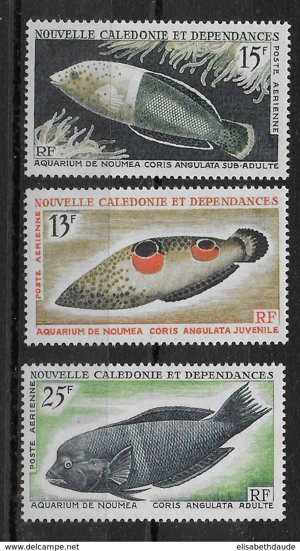 CALEDONIE - AERIENS YVERT N°81/83 * / MLH - COTE = 22.5 EUR. - POISSONS - Nuovi