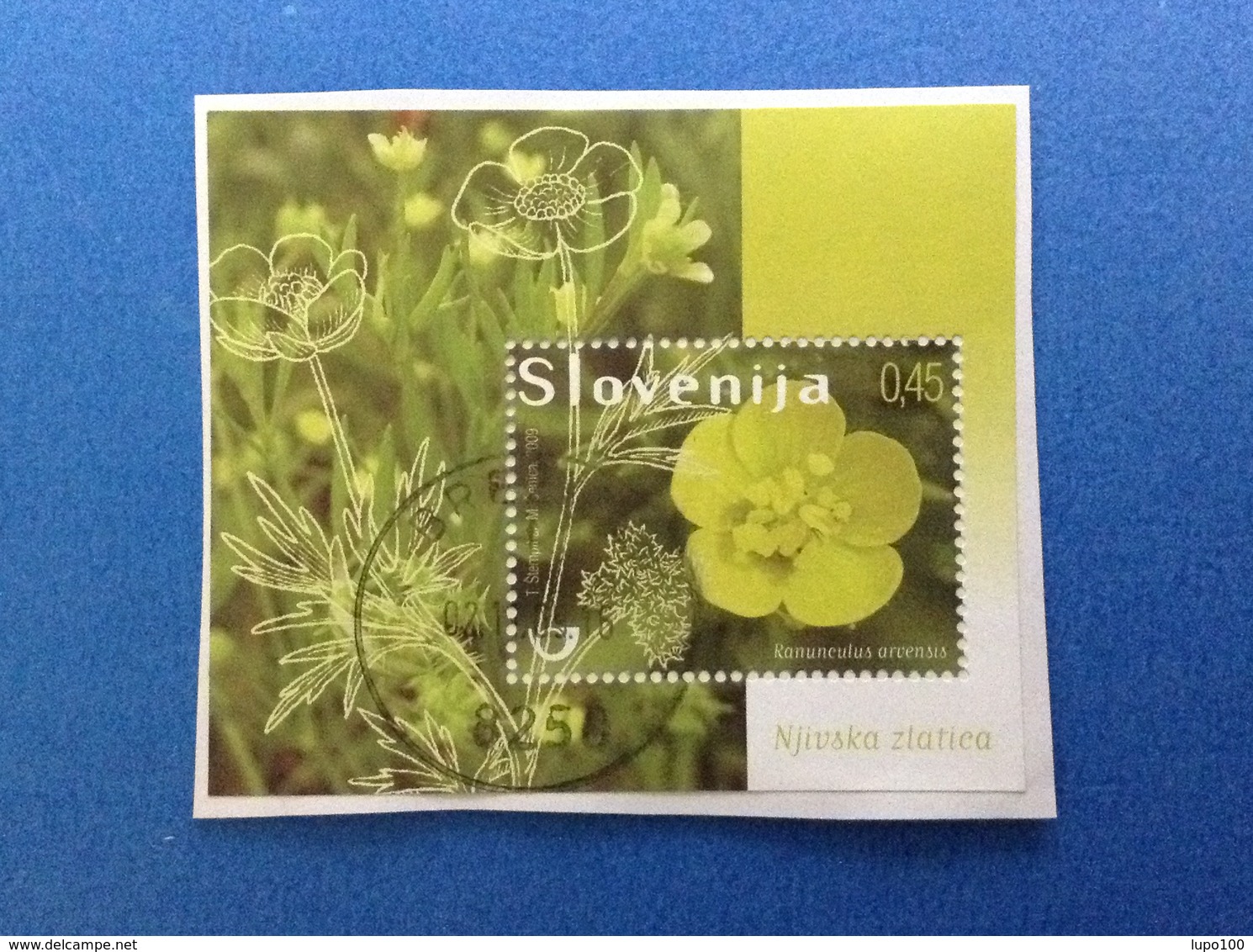 2009 SLOVENIA SLOVENIJA FOGLIETTO USATO SHEET USED 0,45 RANUNCULUS ARVENSIS PIANTA FIORE - Slovenia