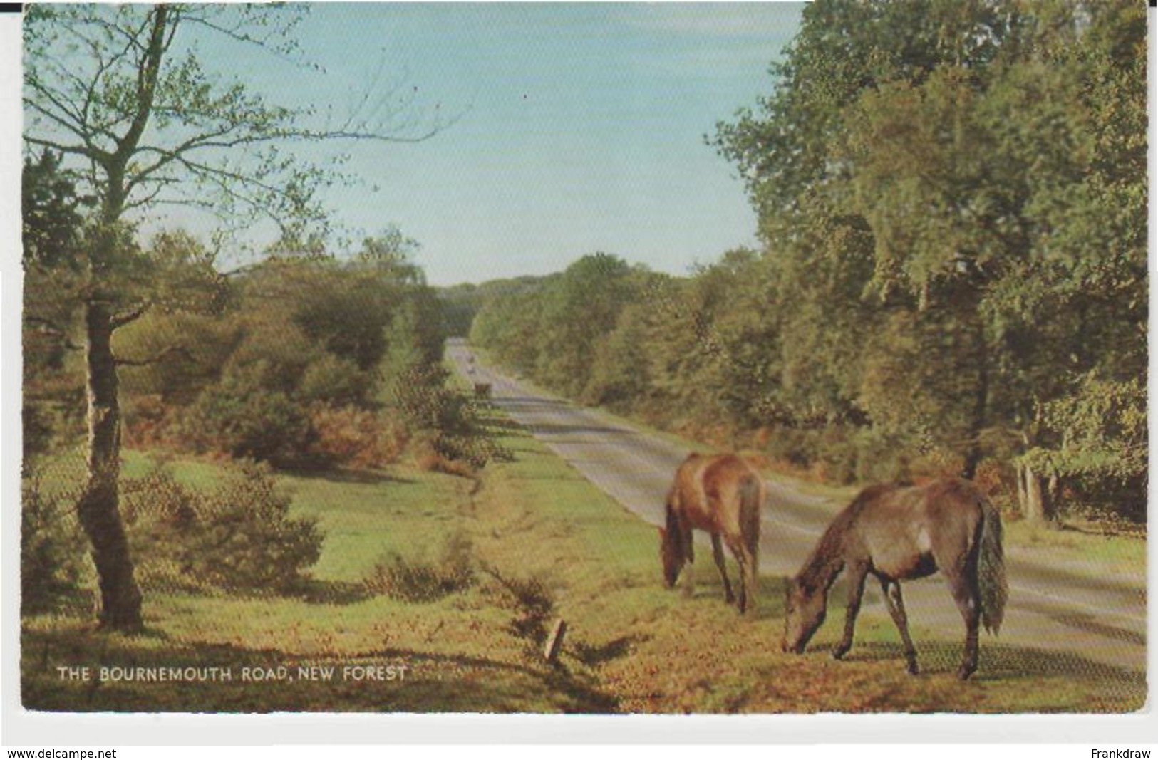 Postcard - The Bournemouth Road, New Forest - Unused - Card No. 1652c  Very Good - Unclassified