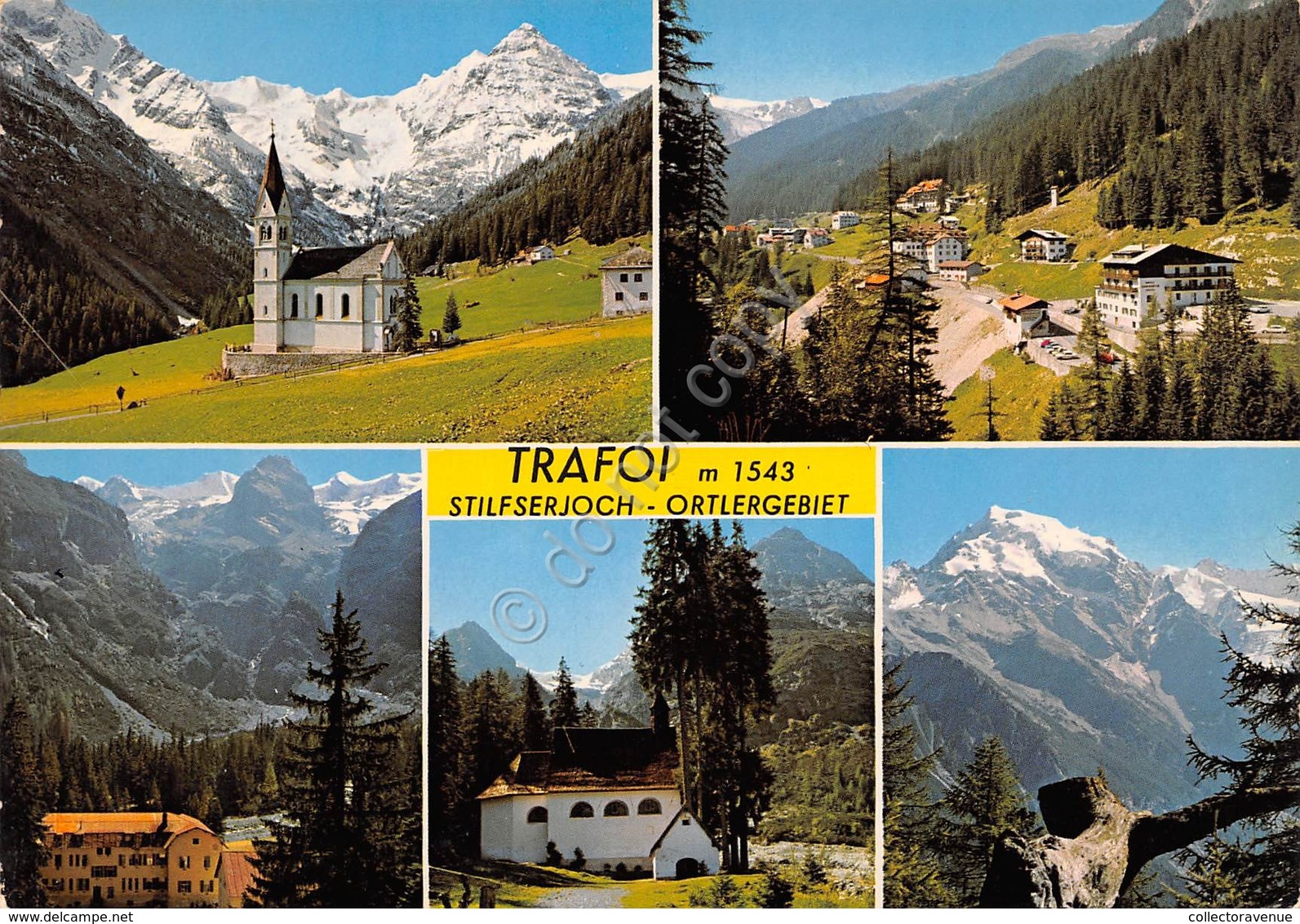 Cartolina Trafoi 5 Vedute (Bolzano) - Bolzano