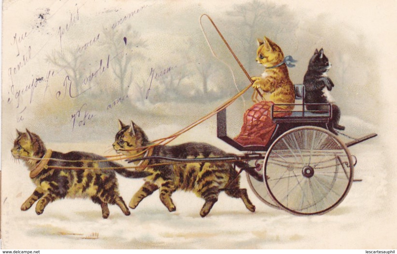 Illustrée Chats Humanisés Attelage De Chats Et Cocher Voiture A Chats 1902 Carosse - Gatti