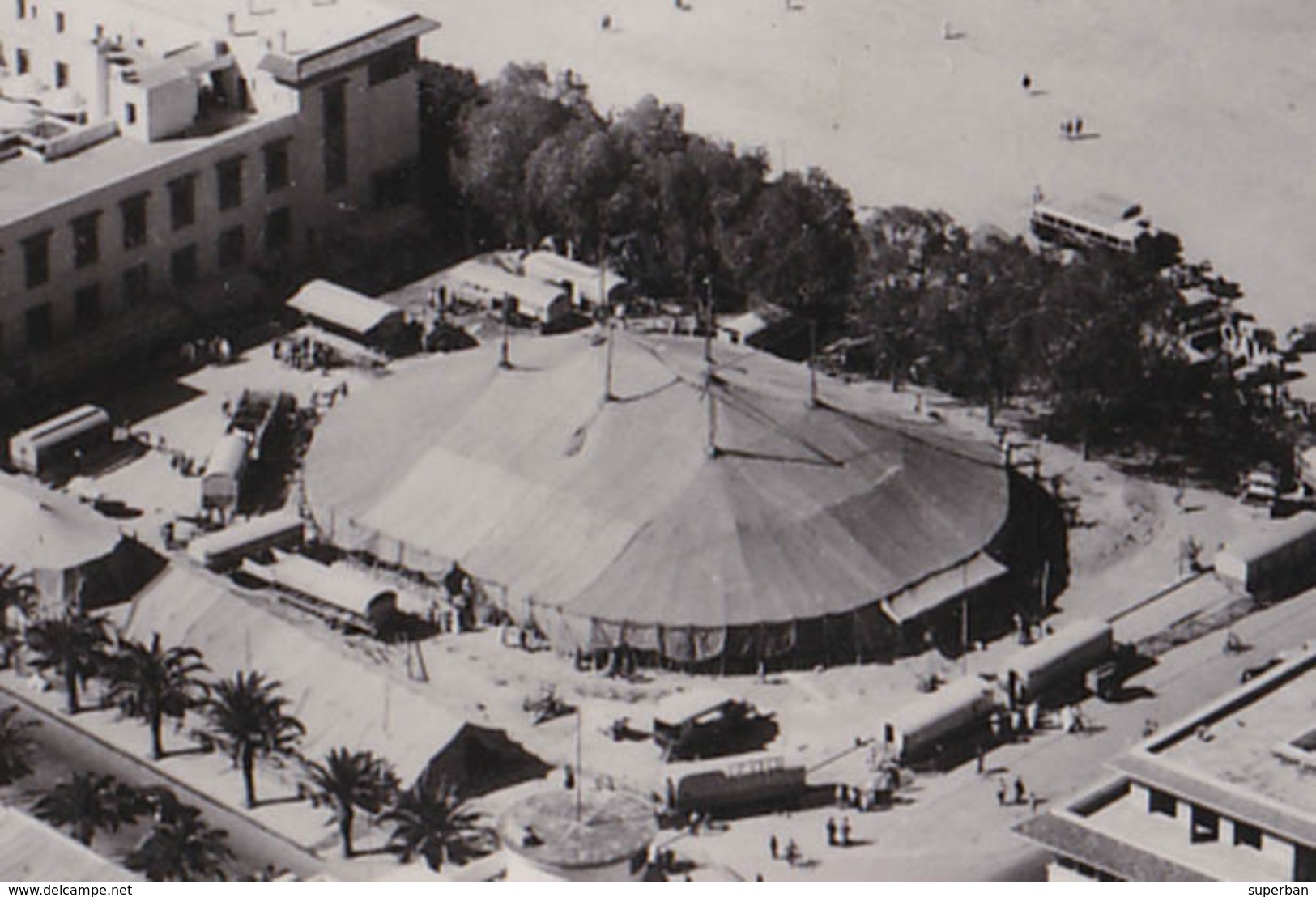 MAROC / CASABLANCA : TENTE Du CIRQUE / PLACE ADMINISTRATIVE / CIRCUS TENT - CARTE VRAIE PHOTO / REAL PHOTO ~ 1950 (aa295 - Zirkus