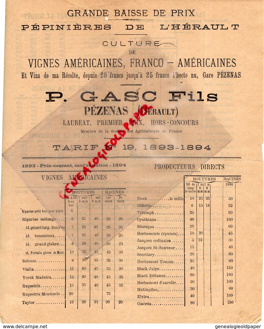 34- PEZENAS- RARE LETTRE TARIFS 1893- P. GASC FILS- PEPINIERES DE L' HERAULT-VIGNES AMERICAINES- HORTICULTURE - 1800 – 1899