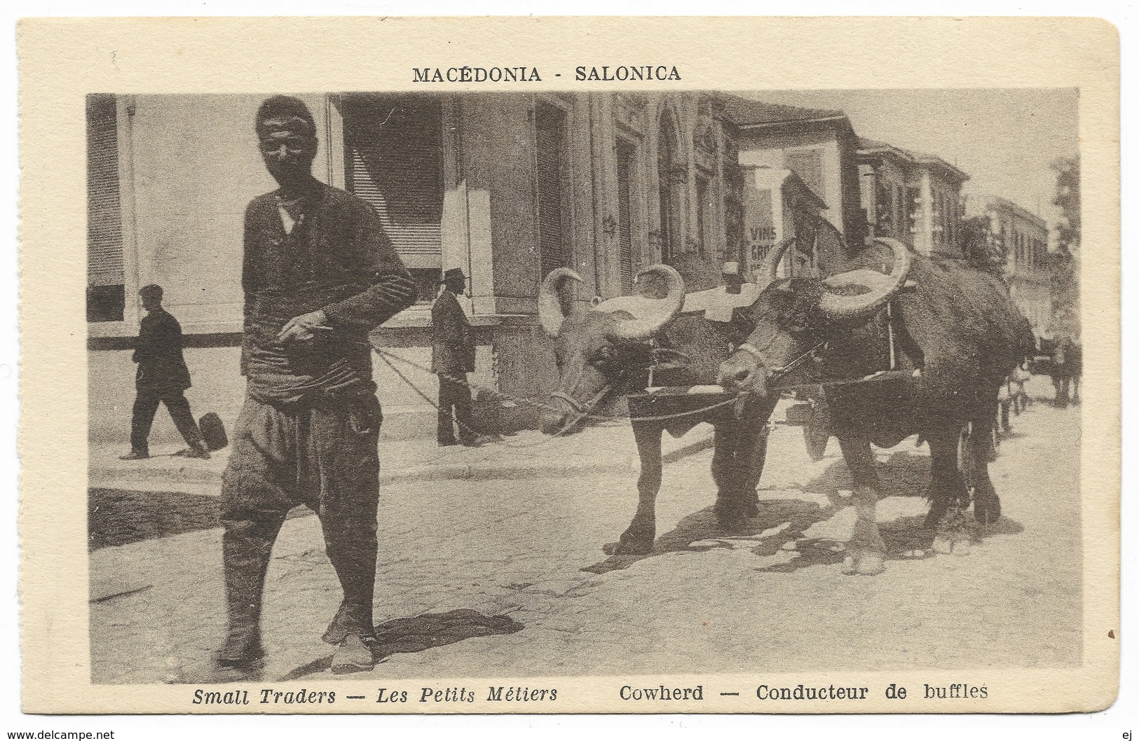 Macedonia Salonica Small Traders Cowherd Les Petits Métiers Conducteur De Buffles Collas Et Cie Unused - Greece