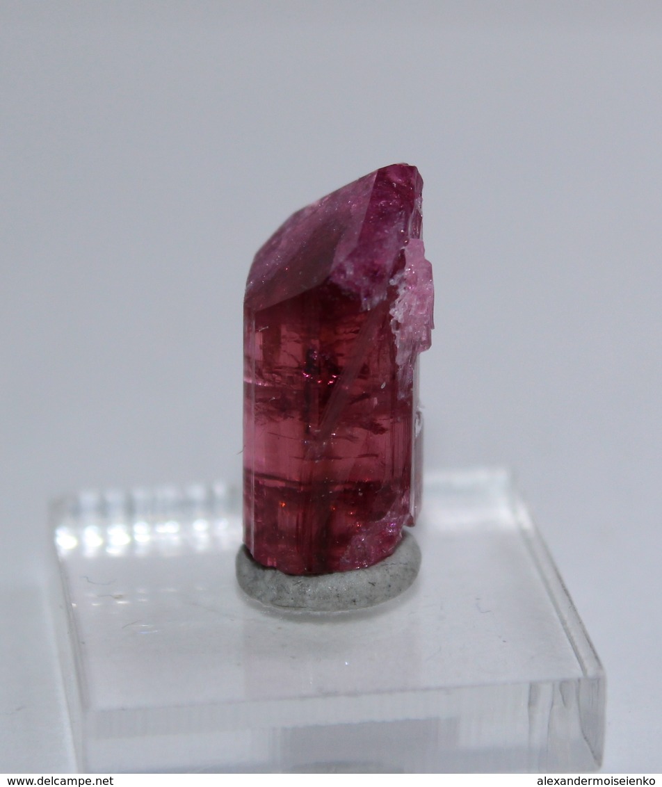7.3 Cts Pink Tourmaline Crystal W/ Natural Termination, Lepidolite. Russia - Mineralien