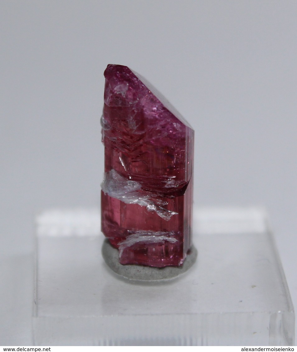 7.3 Cts Pink Tourmaline Crystal W/ Natural Termination, Lepidolite. Russia - Minerals