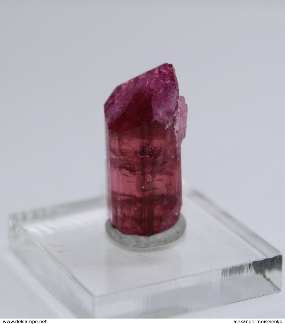 7.3 Cts Pink Tourmaline Crystal W/ Natural Termination, Lepidolite. Russia - Minerals