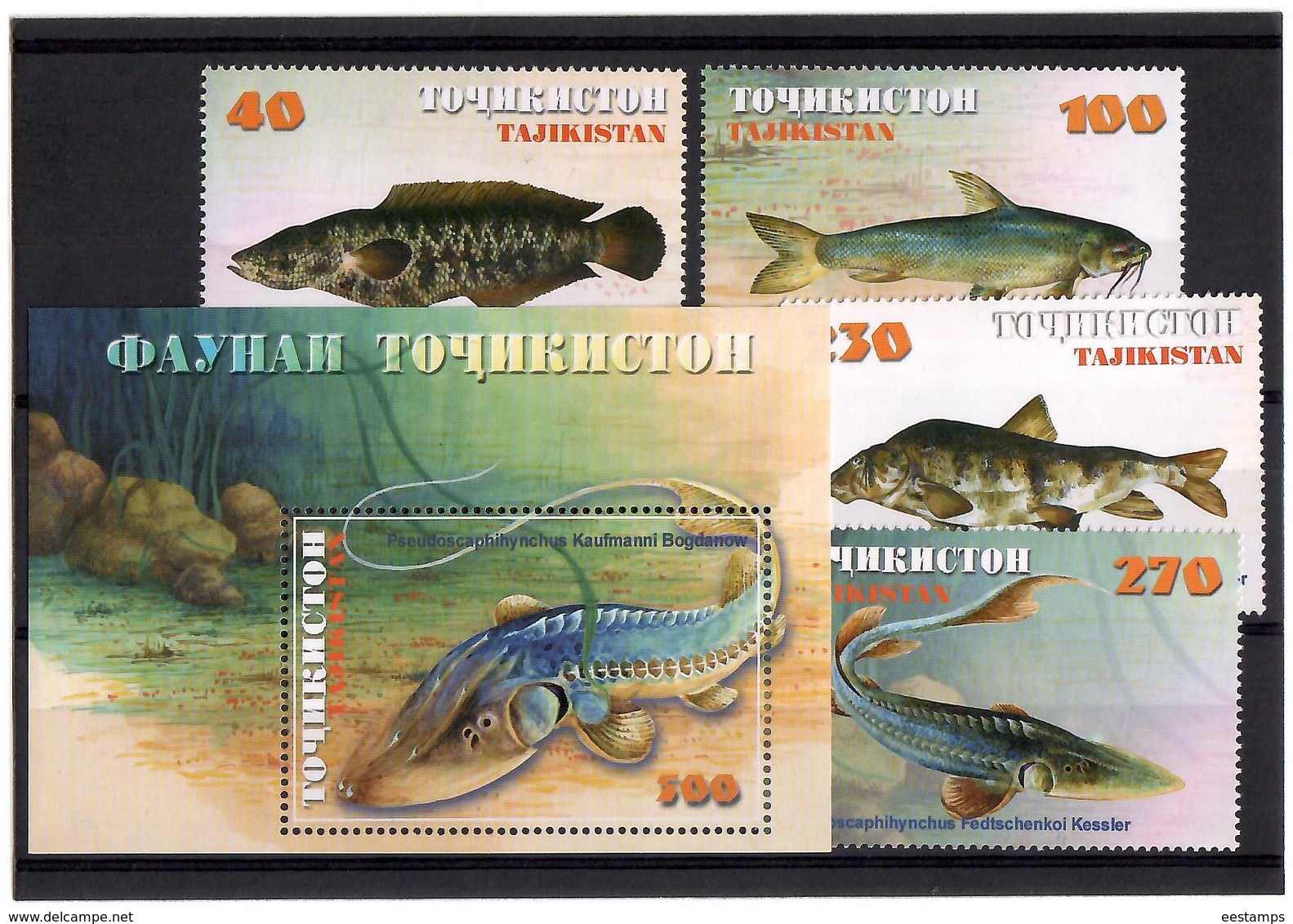 Tajikistan. 2000 Fishes. 4v : 40,100,230,270  + S/S 500 Michel # 167-70+BL 20 - Tadzjikistan