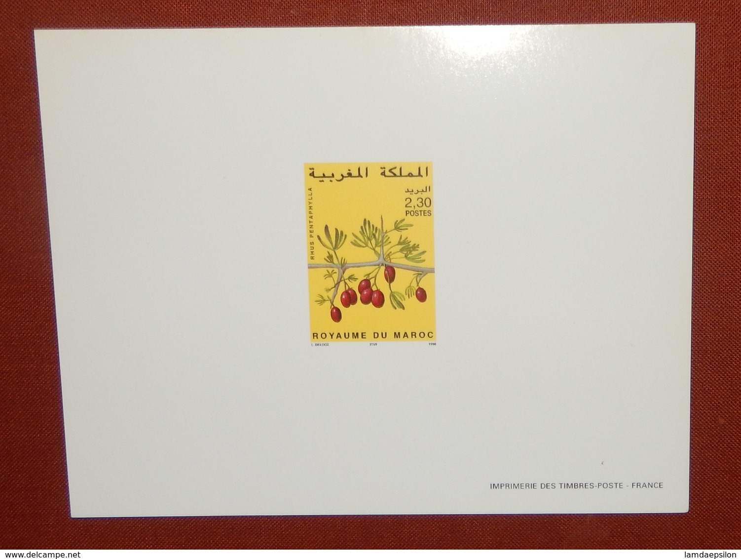 MAROKKO MOROCCO MARRUECOS  MAROC FLOWERS FLEURS EPREUVE DE LUXE ( DELUXE PROOF ) 1998 - Maroc (1956-...)