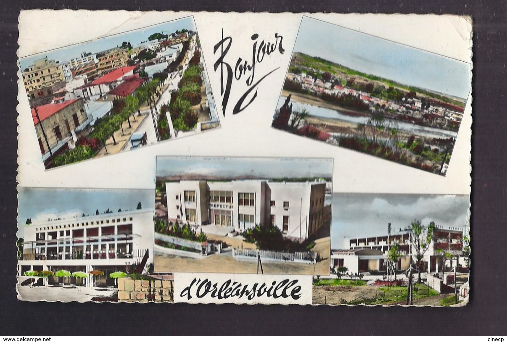 CPSM ALGERIE - ORLEANSVILLE - BONJOUR DE - TB CP Multivue Dont Rue D'Isly , Vue Générale , Motel " Le Belvédère " , Etc - Chlef (Orléansville)