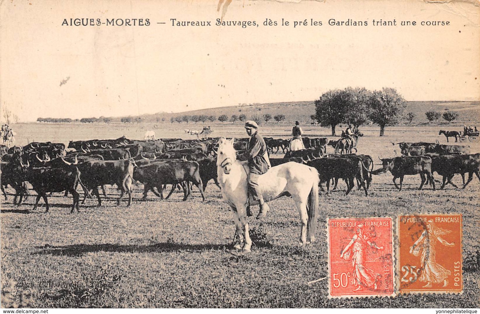 30 - Gard / 10004 - Aigues Mortes - Taureaux Sauvages - Other & Unclassified