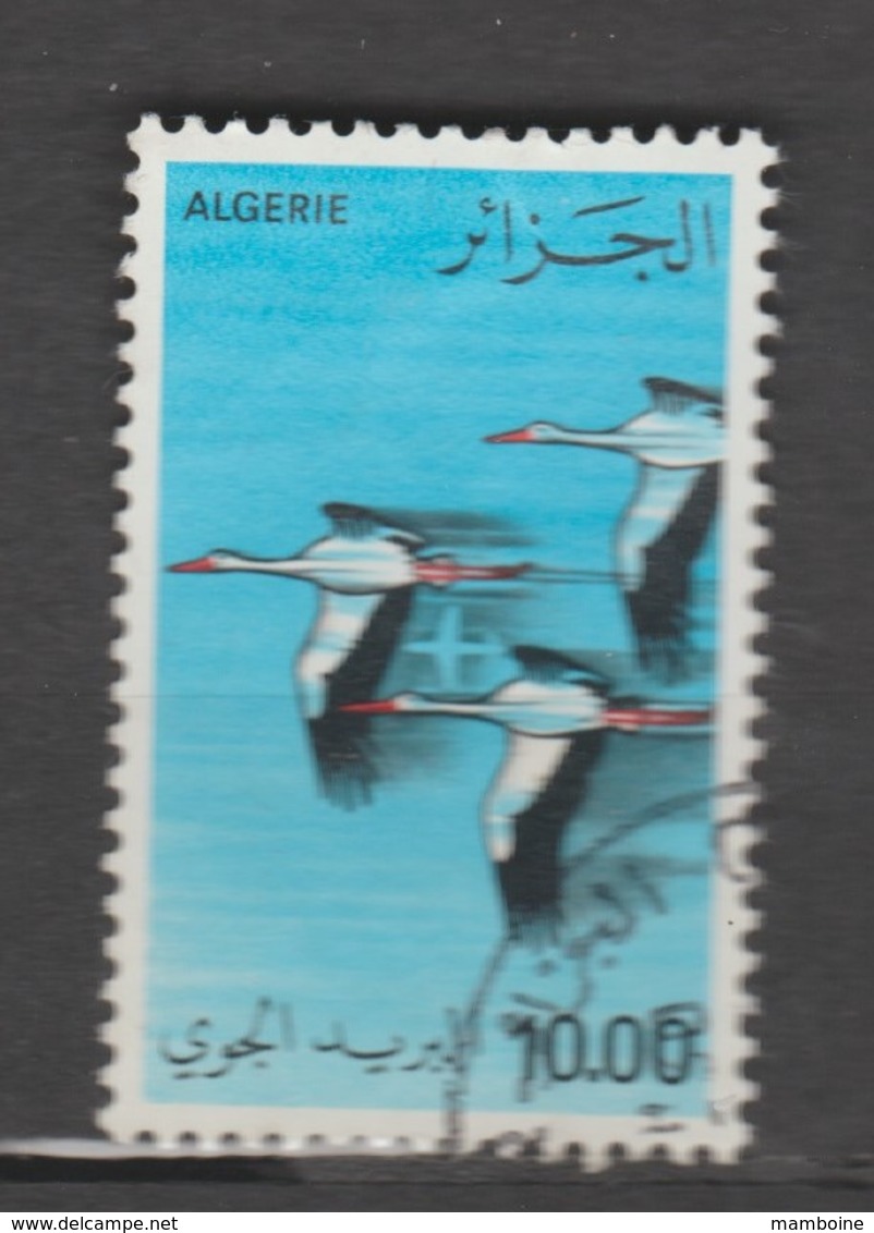 Algerie 1979  Aérien   N° 21  Oblitéré   CIGOGNE - Algeria (1962-...)