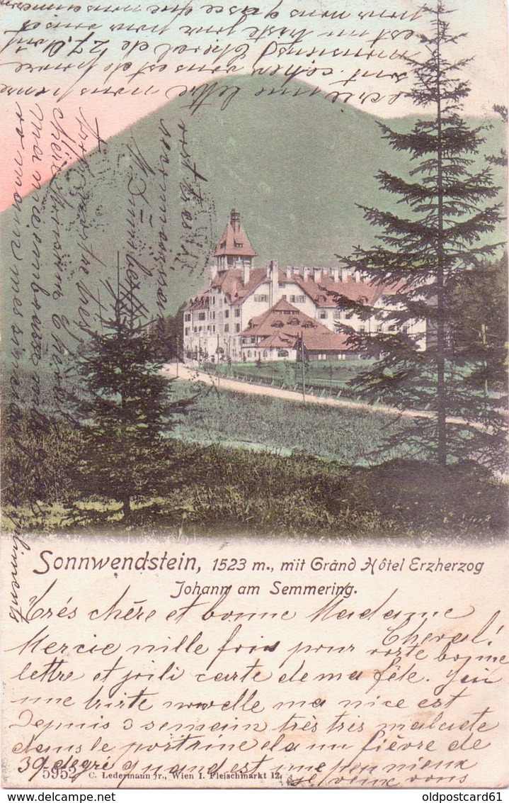 ALTE  AK  SONNWENDSTEIN - Johann Am Semmering / NÖ  - Grand Hotel Erzherzog  - Gelaufen 1903 - Semmering