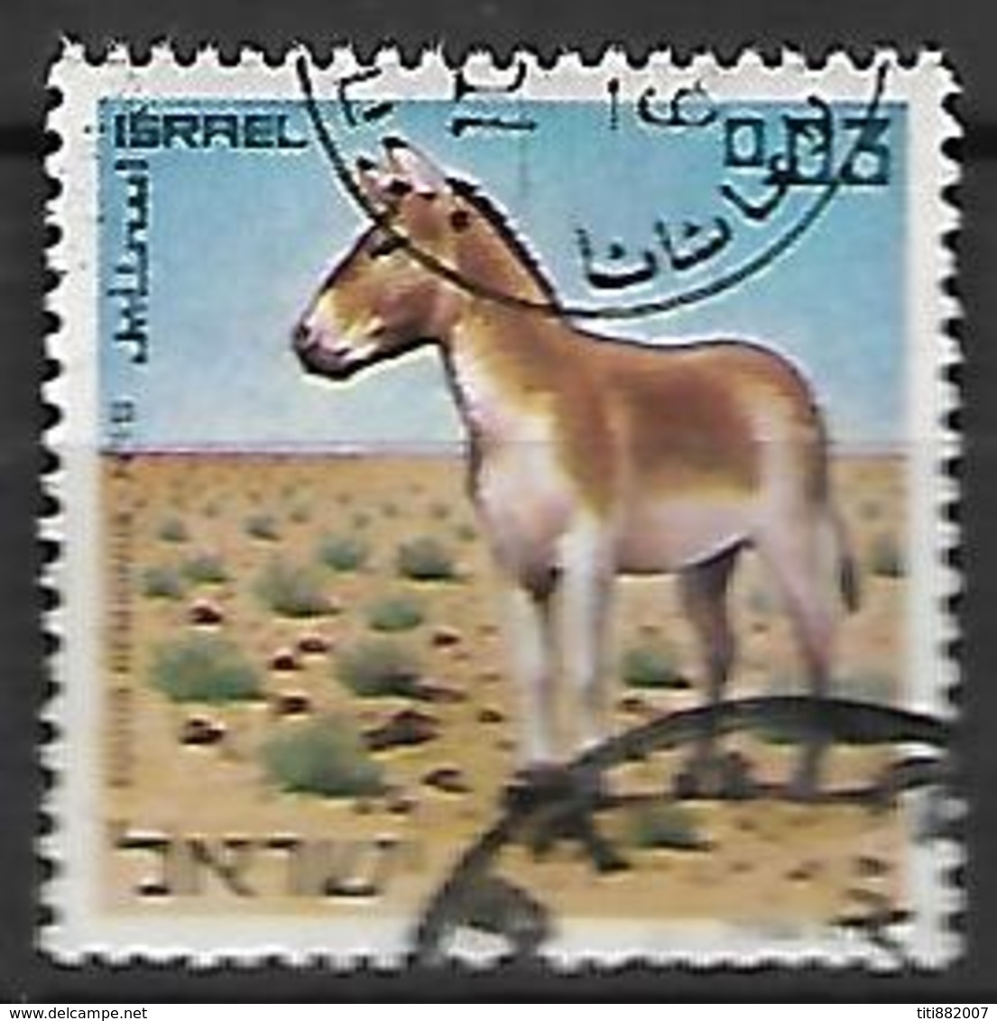 ISRAEL     -     HEMIONE  /  ANE   -   Oblitéré - Donkeys