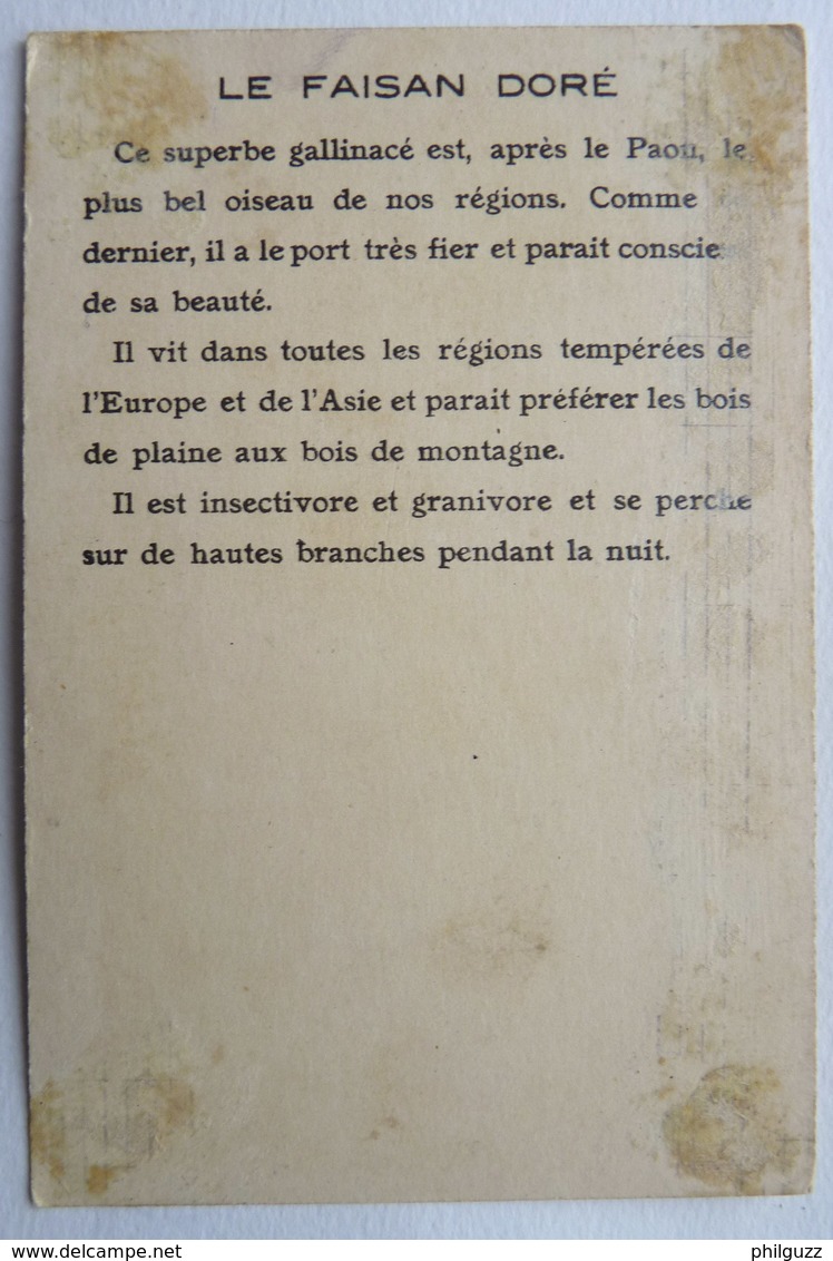 CHROMO EDUCATIF OISEAUX  II - LE FAISANT DORE - Autres & Non Classés