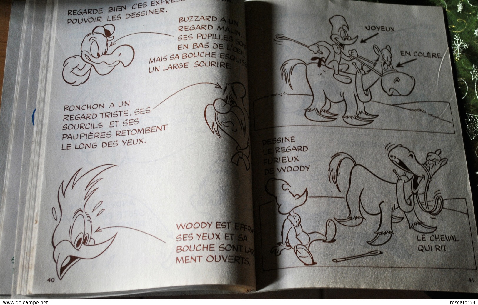 Rare Livre Coloriage Et Jeux Divers Woody Woodpecker état Neuf Années 70-80 - Autres & Non Classés