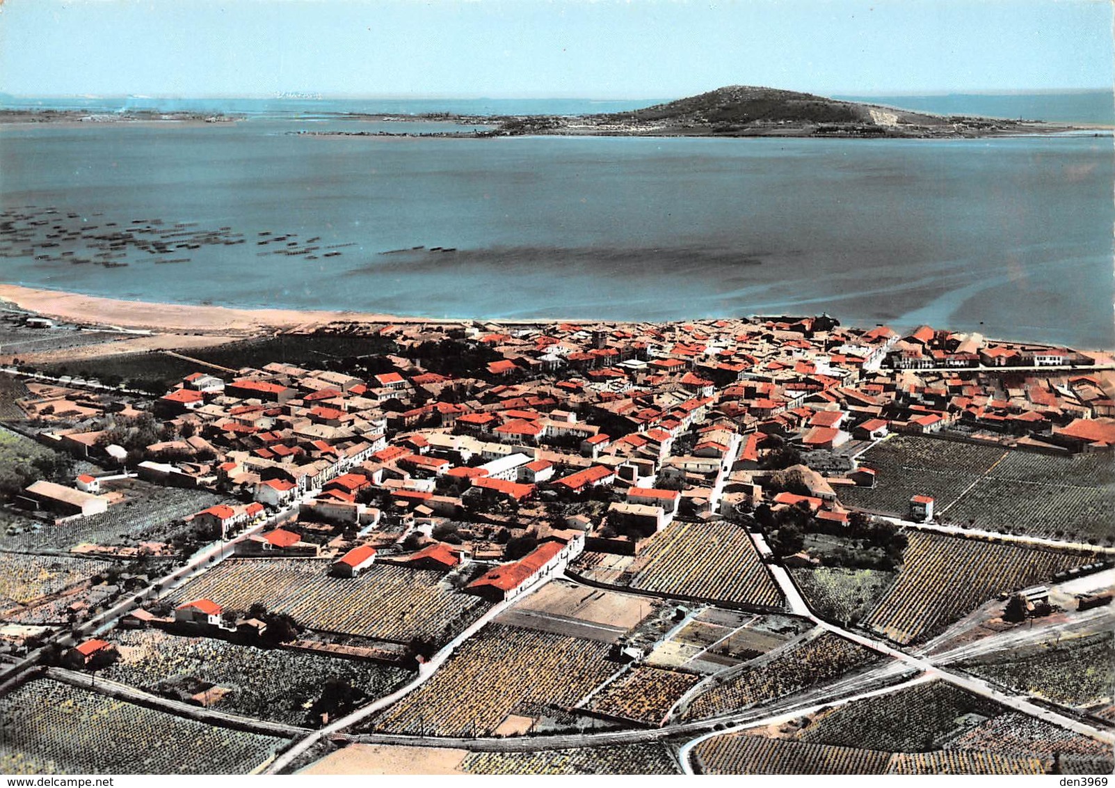 Mèze - Vue Générale Aérienne Et Parcs à Huîtres Sur L'Etang De Thau - Mèze