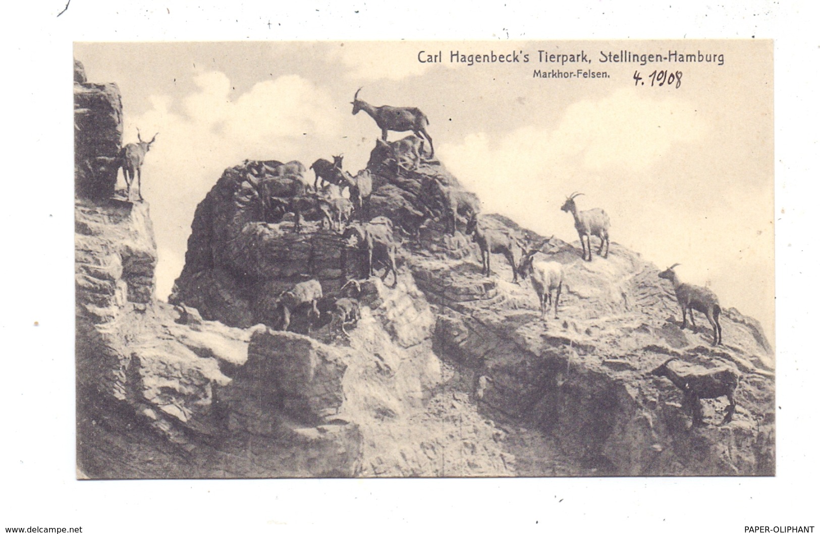 2000 HAMBURG - STELLINGEN Hagenbeck, Zoo, Markhor-Felsen,Ziegen / Goats, 1908 - Stellingen