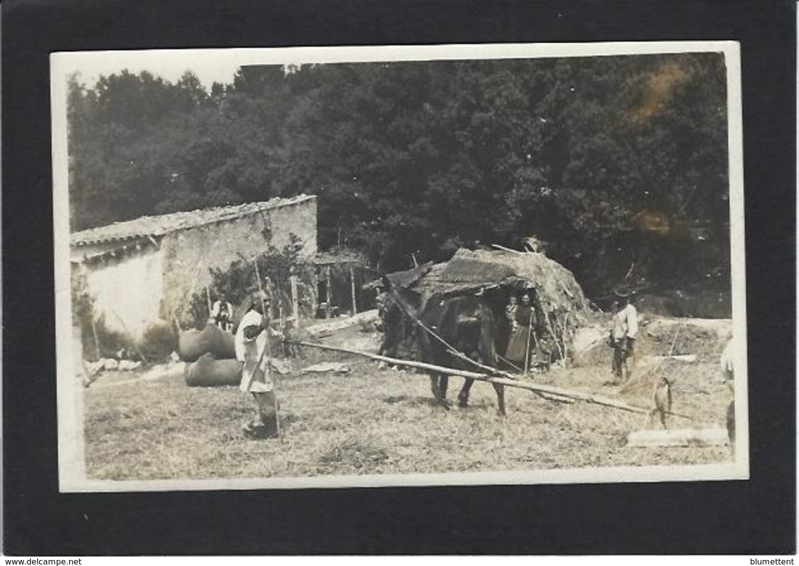 CPA Pérou Péru Carte Photo PPPC Non Circulé Type Métier - Peru