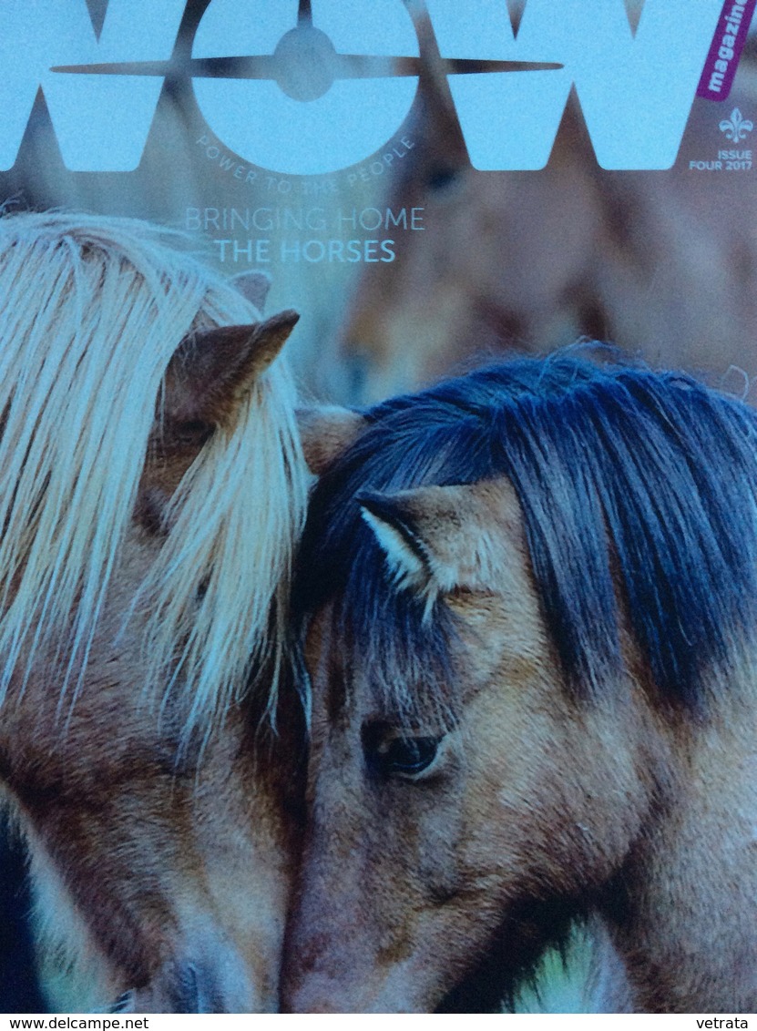WOW Magazine (journal Islandais En Langue Anglaise - 2017) : Bringing Home The Horses - Lingue Scandinave