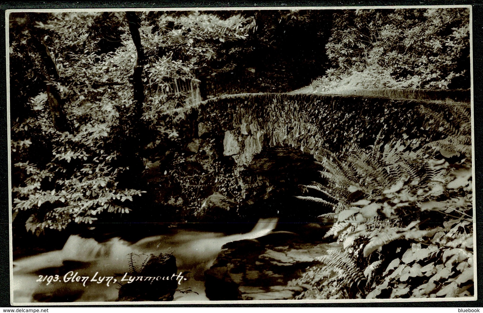 Ref 1246 - Real Photo Postcard - Glen Lyn - Lynmouth Devon - Lynmouth & Lynton