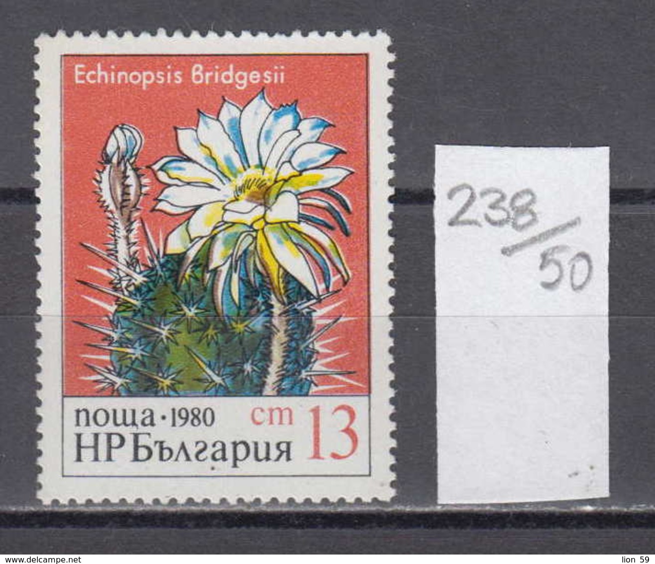 50K238 / 3001 Bulgaria 1980 Michel Nr. 2947 - Cactus Kakteengewachse Cactaceae - Kugelkaktus (Echinopsis Bridgesi) - Sukkulenten