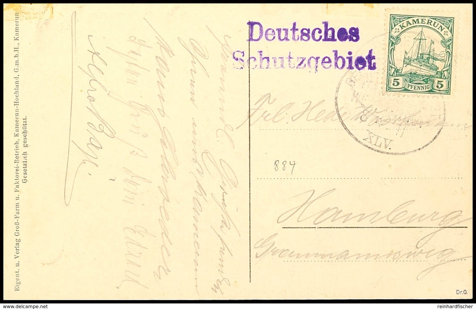 DEUTSCHE SEEPOST LINIE HAMBURG-WESTAFRIKA  XLV. 8.4.11auf Ansichtskarte "Blick Auf Fumban" Mit 5 Pf. Kaiseryachtund Viol - Kamerun