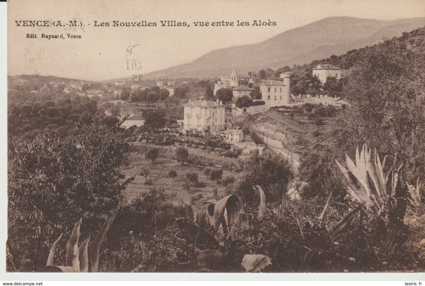 C.P. A. - VENCE - LES NOUVELLES VILLAS - VUE ENTRE LES ALOÈS - RAYNARD - - Vence