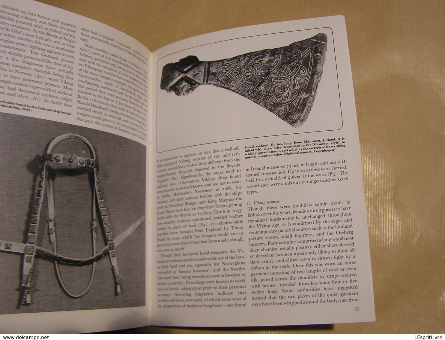 THE VIKINGS Ian Heath Histoire Viking Marine Archéologie Angleterre Scandinavie Drakkar Guerriers Viking Ship