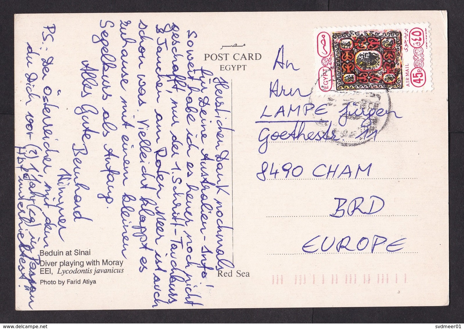 Egypt: PPC Picture Postcard To Germany, 1990s?, 1 Airmail Stamp, Card: Diving Red Sea, Camel (traces Of Use) - Brieven En Documenten