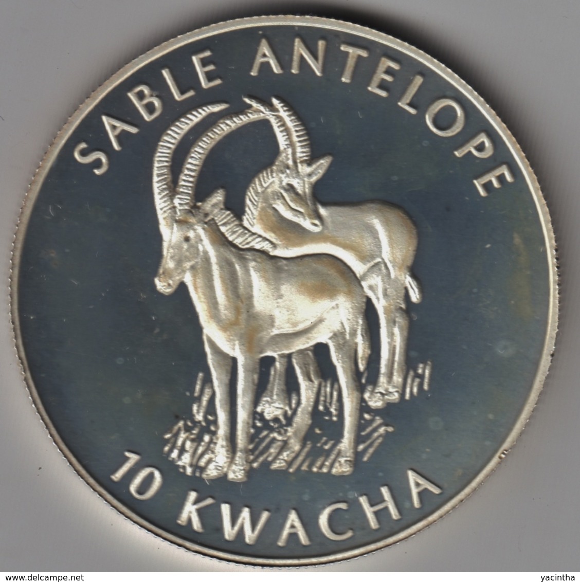 Malawi   10  Kwacha  2002   Antilope   Proof  Zilver - Malawi