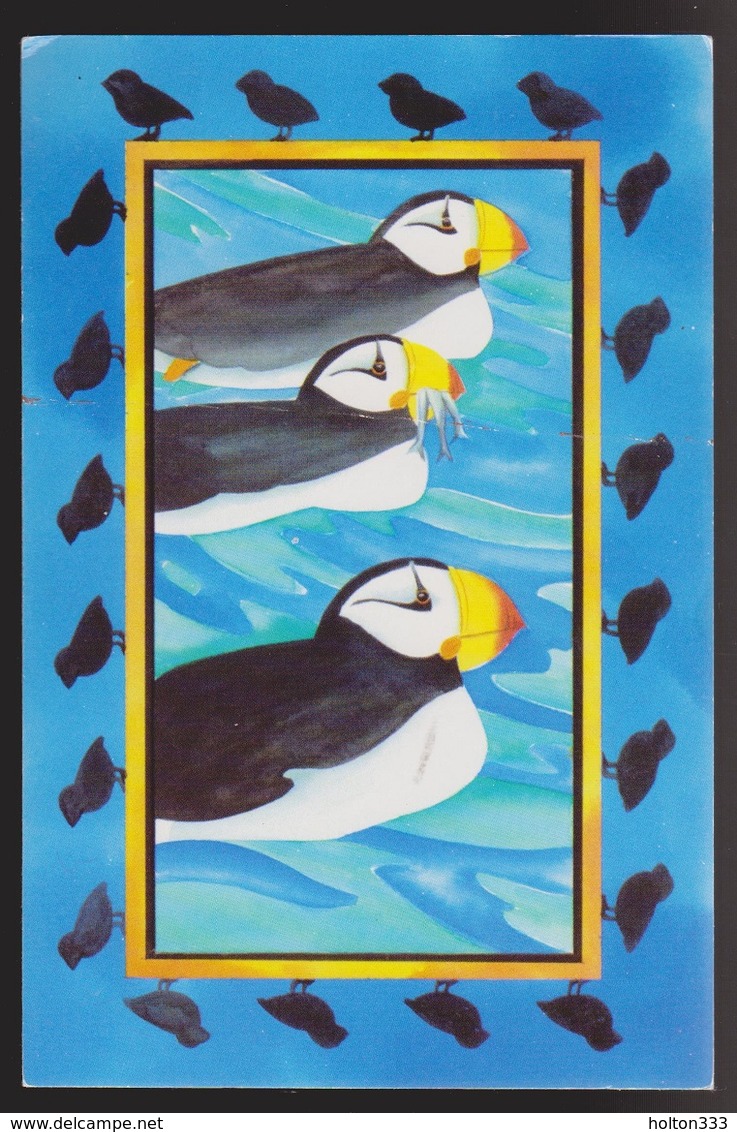 Atlantic Puffins On Greeting Card - Unused - Non Classificati