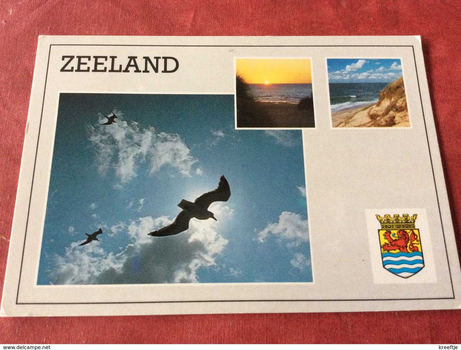 Nederland. Pays-Bas. Holland. Meeuwen - Vogels